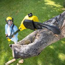 Best Tree Removal  in Chewelah, WA