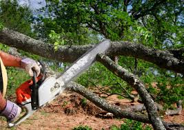 Best Utility Line Clearance  in Chewelah, WA